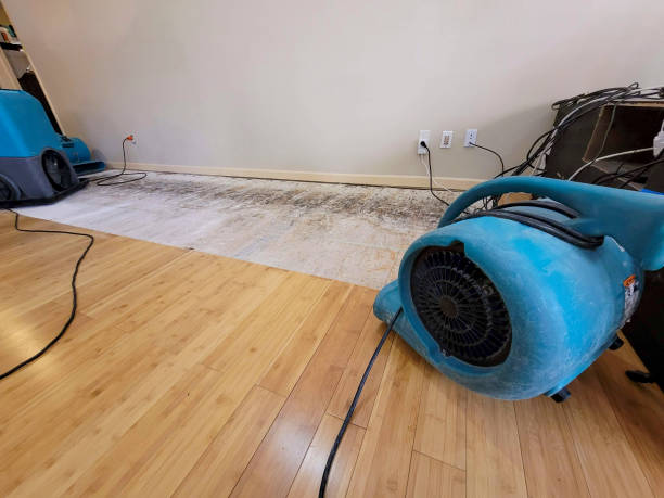 Professional Structural Drying technician working in Pennsburg, PA